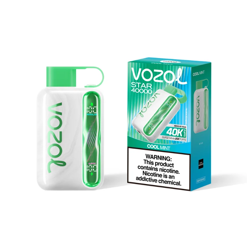 Vozol Star 40000 Puffs Disposable Vape Wholesale - Image 8
